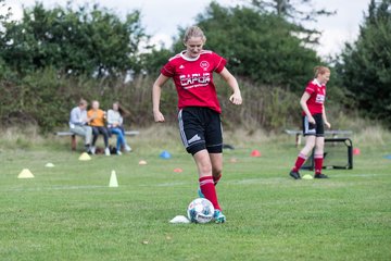 Bild 19 - Frauen SG NieBar - HSV 2 : Ergebnis: 4:3